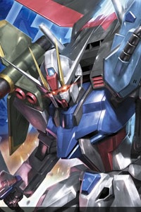 Bandai Gundam SEED HG 1/144 GAT-X105+AQM/E-YM1 Perfect Strike Gundam