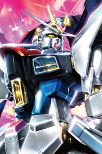 Bandai Gundam SEED MG 1/100 ZGMF-X20A Strike Freedom Gundam Extra Finish Ver.