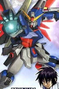 Bandai Gundam SEED 1/100 ZGMF-X42S Destiny Gundam