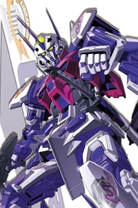 Bandai Gundam SEED 1/100 MBF-P05LM Gundam Astray Mirage Frame