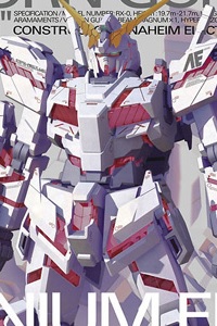 Gundam Unicorn MG 1/100 RX-0 Unicorn Gundam Ver.Ka Titanium Finishing