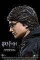 X PLUS Real Master Series Harry Potter Triwizard Tournament Ver. 1/8 Action Figure B Type gallery thumbnail