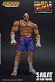 Storm Collectibles Ultra Street Fighter II The Final Challengers Sagat Action Figure  gallery thumbnail