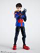 BANDAI SPIRITS S.H.Figuarts Haimawari Koichi gallery thumbnail