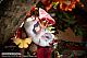 EUSUN Aki no Otozure Illustrated by Tokiwata Deluxe Edition 1/1 Plastic Figure gallery thumbnail