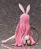 FREEing To LOVE-ru Darkness Lala Satalin Deviluke Nama-aishi Bunny Ver. 1/4 Plastic Figure gallery thumbnail
