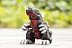 KOTOBUKIYA ZOIDS D-Style Death Sauser [Clear Parts Append] Plastic Kit gallery thumbnail