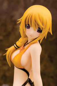 Charlotte Dunois: Swimsuit Ver.