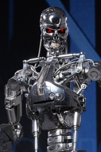 Hot Toys Quarter Scale Terminator T-800 Endoskeleton 1/4 Action Figure