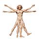 FREEing Table Museum figma Vitruvian Man gallery thumbnail