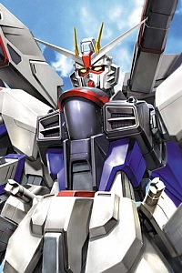Gundam SEED MG 1/100 ZGMF-X10A Freedom Gundam