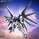Gundam SEED HG 1/144 STTS-909 Rising Freedom Gundam gallery thumbnail