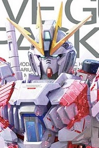 Bandai Mobile Suite Gundam Narrative MG 1/100 RX-9/C Narrative Gundam C-Packs Ver.Ka