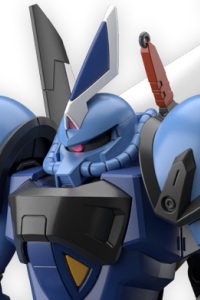 Gundam SEED HG 1/144 ZGMF-2050A Gouf Ignited Custom