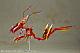 KOTOBUKIYA Frame Arms Girl Hresvelgr=Rufus Agito Plastic Kit gallery thumbnail