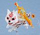 MAX FACTORY Okami Nendoroid Shiranui DX Ver. gallery thumbnail