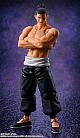 BANDAI SPIRITS S.H.Figuarts Todo Aoi gallery thumbnail