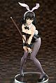 ques Q Strike the Blood Himeragi Yukina Bunny Girl Style 1/7 Plastic Figure gallery thumbnail