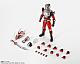 BANDAI SPIRITS S.H.Figuarts (Shinkocchou Seihou) Kamen Rider Ryuki gallery thumbnail