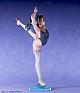 FOTS JAPAN Hyoujou no Princess Sumihi Sena 1/6 PMMA Figure gallery thumbnail
