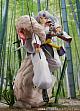 PROOF Inuyasha Sesshomaru 1/7 Plastic Figure gallery thumbnail