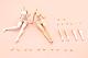 KOTOBUKIYA Sousei Shoujo Teien Dress Up Body [L] 1/10 Plastic Kit gallery thumbnail