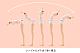 KOTOBUKIYA Sousei Shoujo Teien Dress Up Body [L] 1/10 Plastic Kit gallery thumbnail