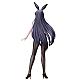 FREEing Code Geass: Roze of the Recapture Sumeragi Sakuya Bunny Ver. 1/4 Plastic Figure gallery thumbnail