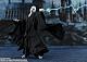 BANDAI SPIRITS S.H.Figuarts Lord Voldemort (Harry Potter and the Goblet of Fire) gallery thumbnail