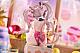 Hobby Sakura SWEET CAT illustration by Tuzhate 1/6 Plastic Figure gallery thumbnail