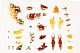 KOTOBUKIYA ARCANADEA XenoAlma Flame Strahl Plastic Kit gallery thumbnail