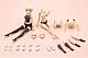 KOTOBUKIYA Sousai Shoujo Teien Grande Scale Dress Up Body [M] with Gourai Plastic Kit gallery thumbnail