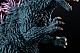 Aoshima PLAfig. No.PF-02 Godzilla (1999) Plastic Kit gallery thumbnail