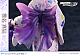Prime 1 Studio PRISMA WING Otonari no Tenshi-sama ni Itsunomanika Dame Ningen ni Sareteiyata Ken Shiina Mahiru 1/7 Plastic Figure gallery thumbnail