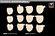 KOTOBUKIYA Megami Device M.S.G 08 Face Set for BUSTER DOLL Skin Colour A 1/1 Plastic Kit gallery thumbnail