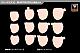 KOTOBUKIYA Megami Device M.S.G 08 Face Set for BUSTER DOLL Skin Colour B 1/1 Plastic Kit gallery thumbnail