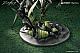OMAHA Etona STD Edition 1/6 Plastic Figure gallery thumbnail