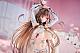 Alphamax Shinobi Master Senran Kagura NEW LINK Toki -Dakimakura Ver.- 1/4 Plastic Figure gallery thumbnail
