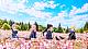 VISION CHILLfigg Relax Kimi ga Shinumade Koi wo Shitai (1BOX) gallery thumbnail