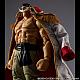 MegaHouse Variable Action Heroes ONE PIECE Shiro-hige Edward Newgate Ver.1.5 Action Figure gallery thumbnail