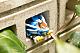 KOTOBUKIYA ZOIDS D-Style Blade Tiger 2000 -Recolor- Plastic Kit gallery thumbnail