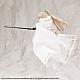 KOTOBUKIYA MEGALOMARIA NLIMITED UNIVERSE Stage Re:Fashion UInfinity Cloak [Tasogare Kyodan Shiyo] White Ver. gallery thumbnail